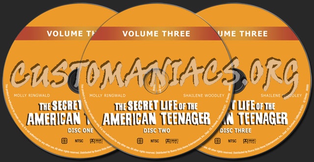 Segment American Teen Labels American 84