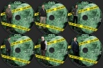 CSI: Crime Scene Investigation - Season 15 dvd label