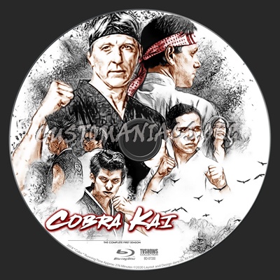Cobra Kai - The Complete Collection |TV Collection by dany26| blu-ray label