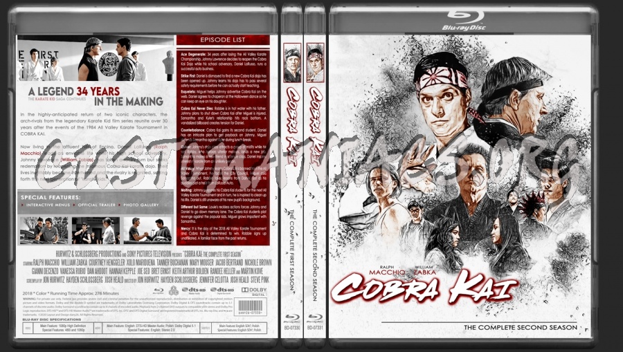 Cobra Kai - The Complete Collection |TV Collection by dany26| blu-ray cover