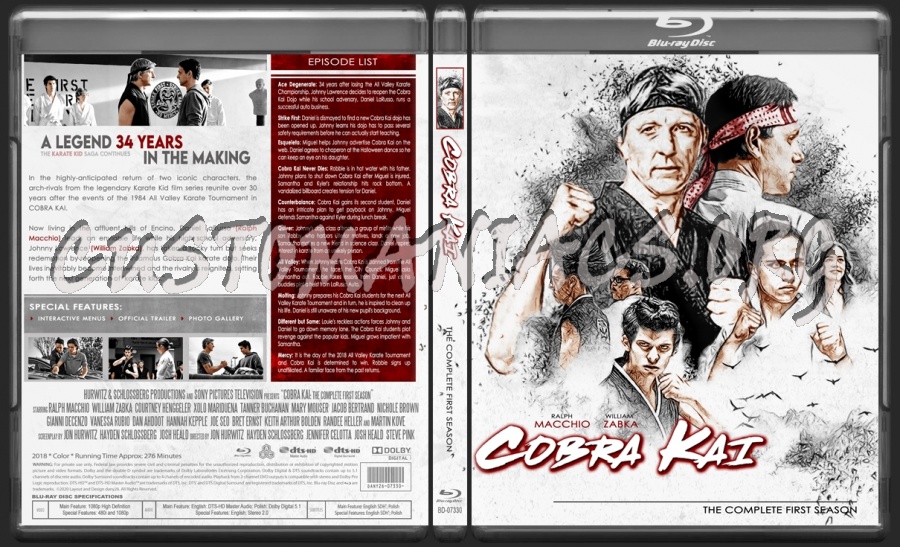 Cobra Kai - First Season |TV Collection by dany26| blu-ray cover