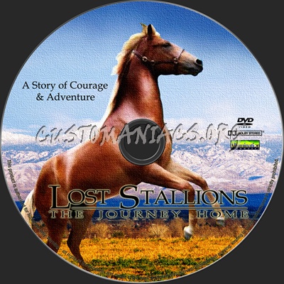 Lost Stallions The Journey Home dvd label