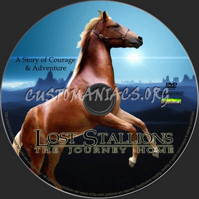 Lost Stallions The Journey Home dvd label