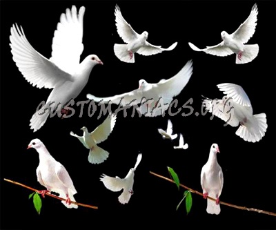 White Doves PSD 