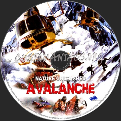 Nature Unleashed AVALANCHE dvd label