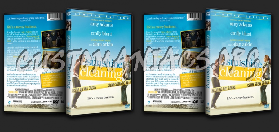 Sunshine Cleaning dvd cover