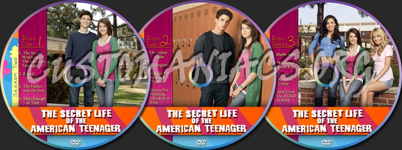 The Secret Life Of The American Teenager Season 2 dvd label