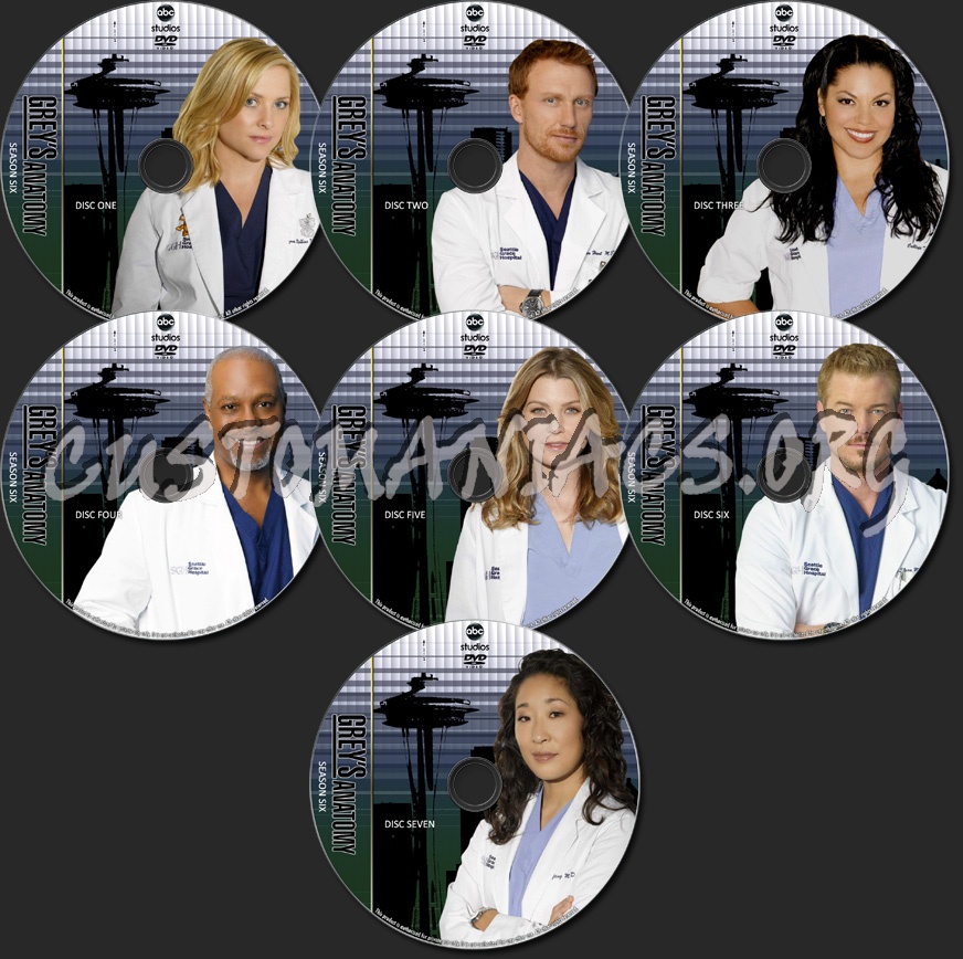 Grey's Anatomy - TV Collection Season Six dvd label