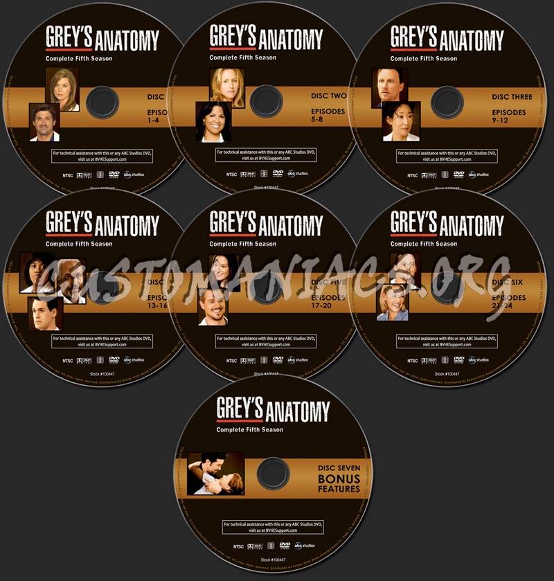 Grey's Anatomy Season 5 dvd label