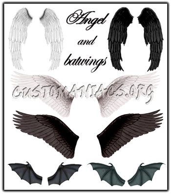 Angel and batwings PSD 