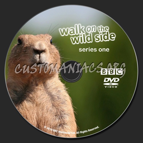 Walk on the Wild Side - Series 1 dvd label