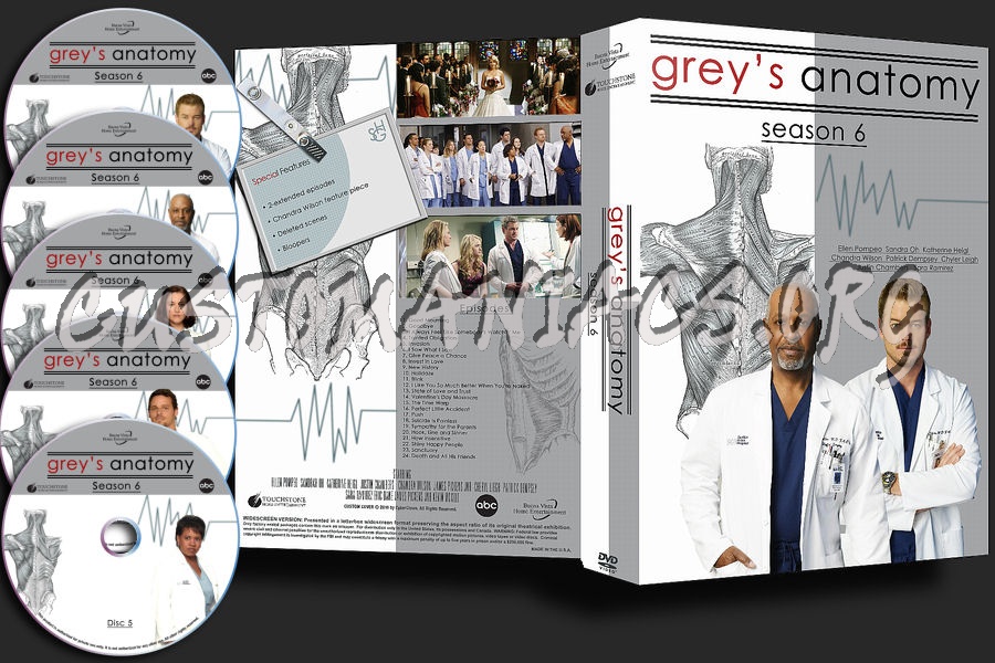 Grey's Anatomy Season 6 dvd cover