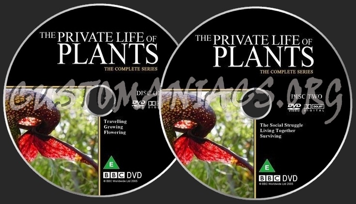 Private Life Of Plants dvd label
