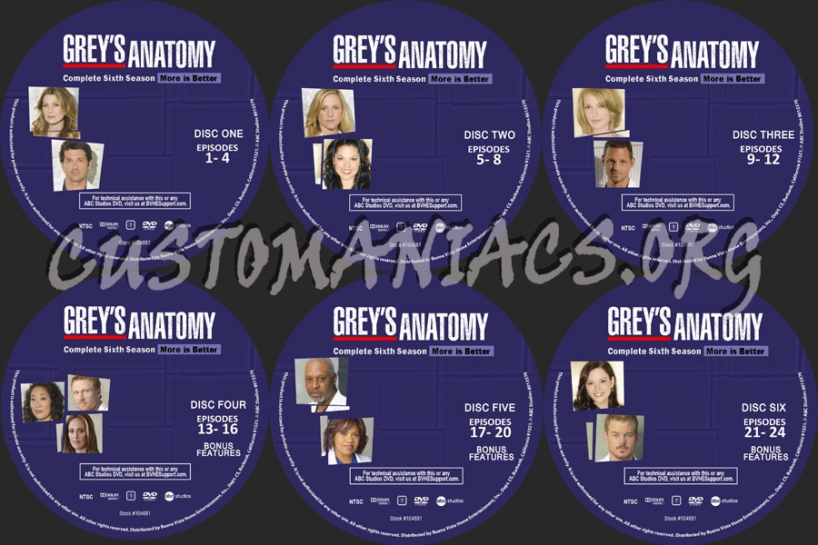 Grey's Anatomy Season 6 dvd label