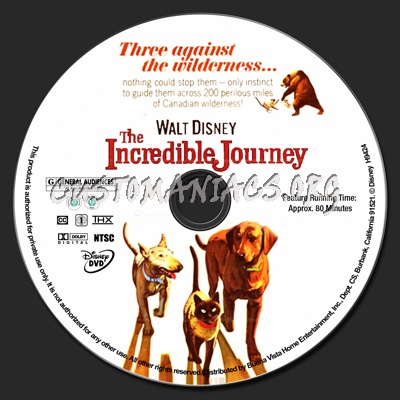 The Incredible Journey (1963) dvd label