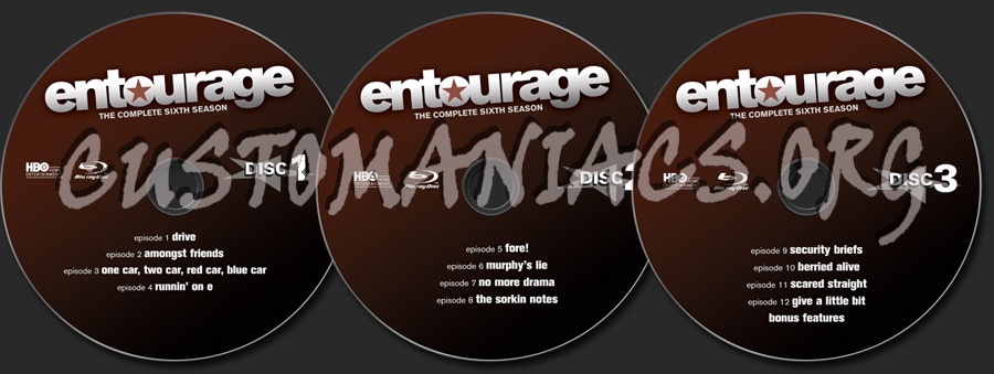 Entourage Season 6 dvd label