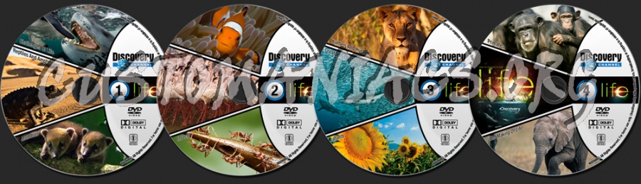 Discovery: Life dvd label