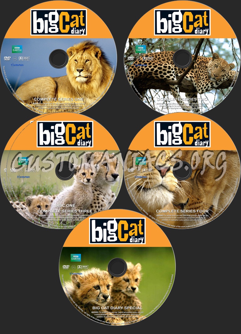 Big Cat Diary Series 1 - 4 and Special dvd label