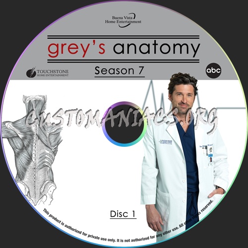 Grey's Anatomy Season 7 dvd label