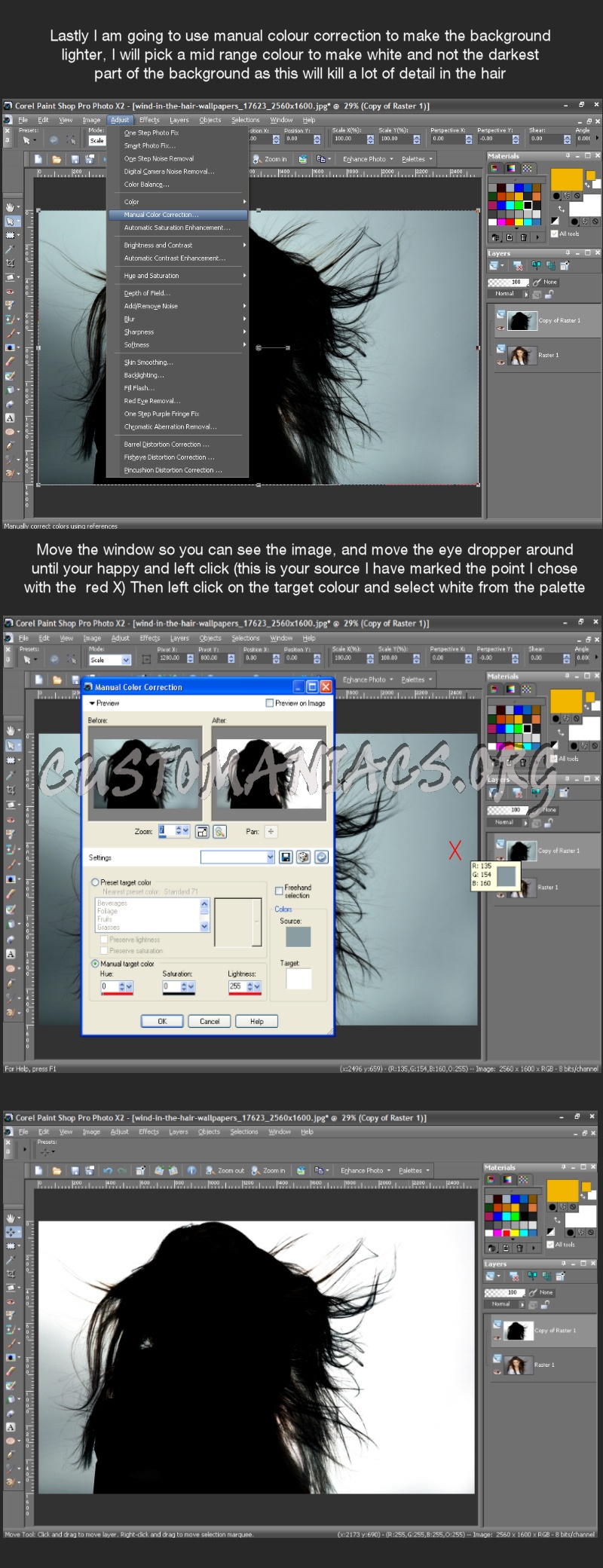 Extracting an Image In Paintshop Pro 