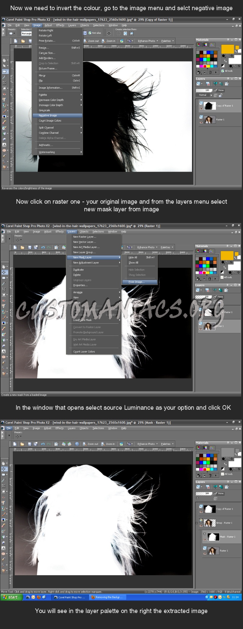 Extracting an Image In Paintshop Pro 