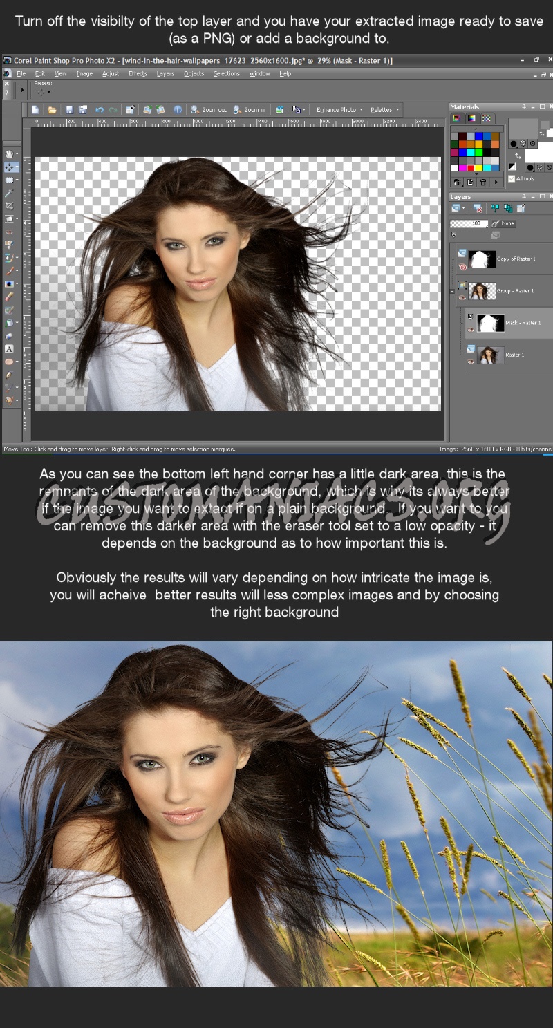 Extracting an Image In Paintshop Pro 