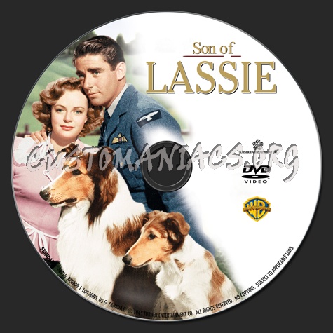 Son of Lassie dvd label