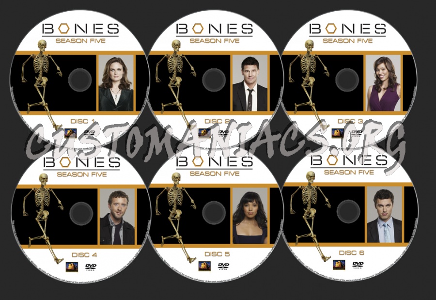 BONES Season 5 dvd label
