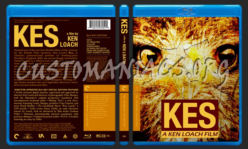 561 - Kes blu-ray cover