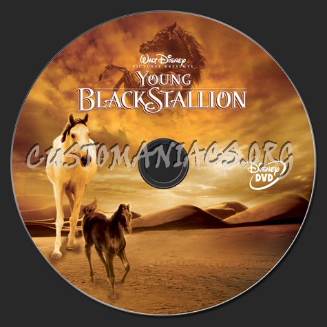 Young Black Stallion dvd label