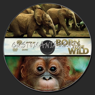 Born To Be Wild dvd label