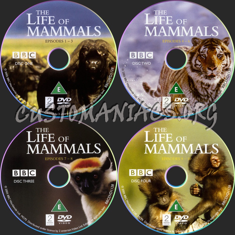 The Life of Mammals dvd label