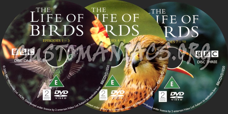 The Life of Birds dvd label