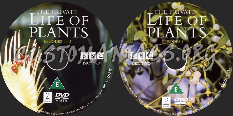 The Private Life of Plants dvd label