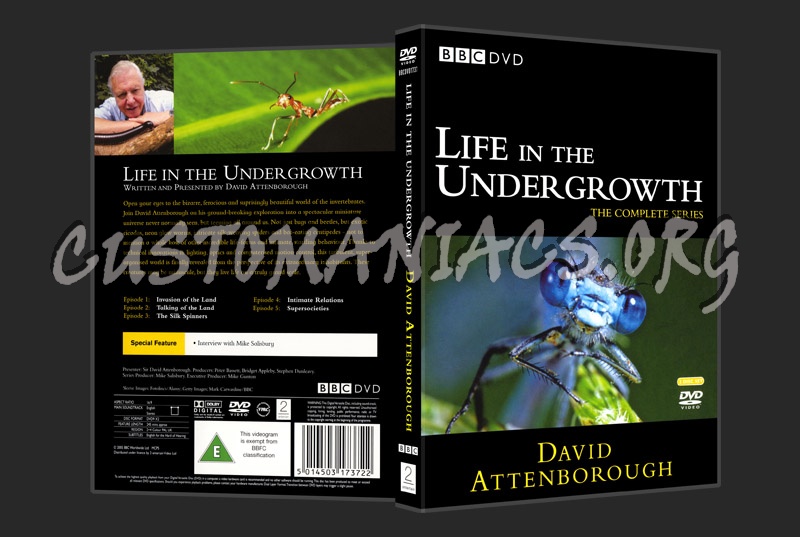 Life in the Undergrowth dvd cover