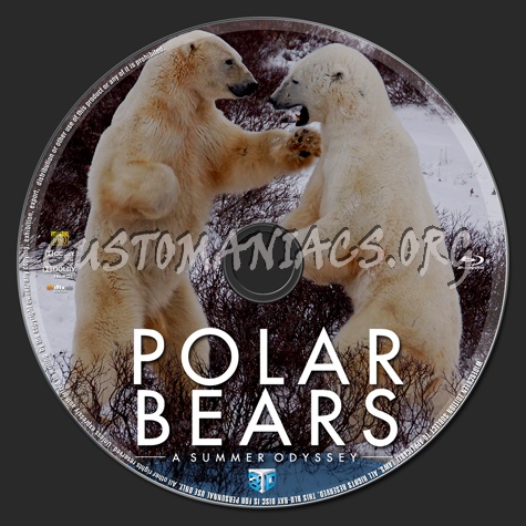 Polar Bears: A Summer Odyssey 3D blu-ray label