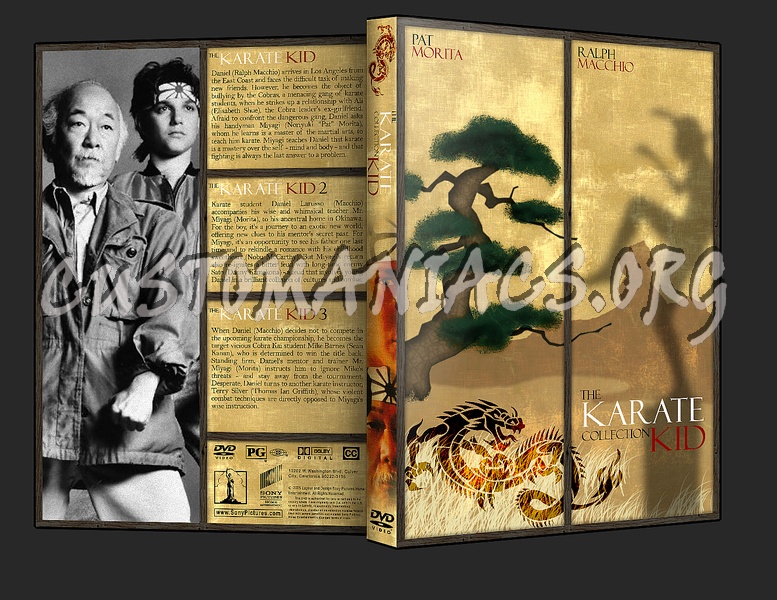 Karate Kid dvd cover