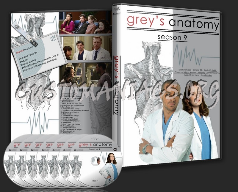 Grey's Anatomy Season 9 SA dvd cover