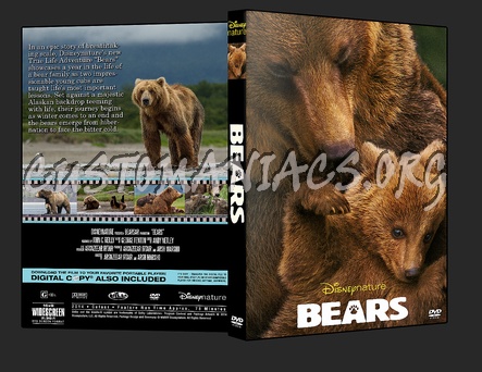 Bears dvd cover