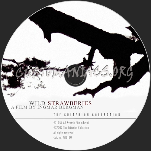 139 - Wild Strawberries dvd label