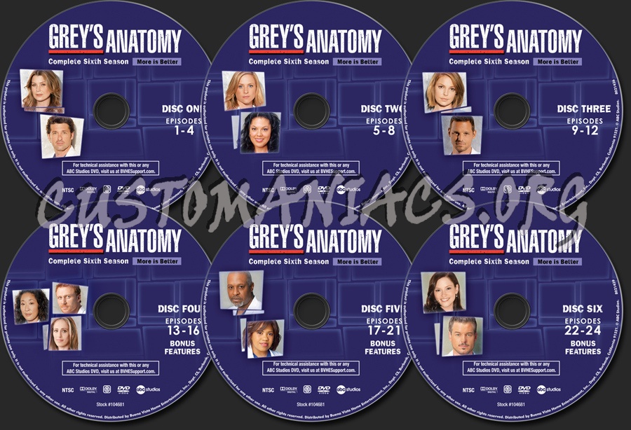 Grey's Anatomy Season 6 dvd label