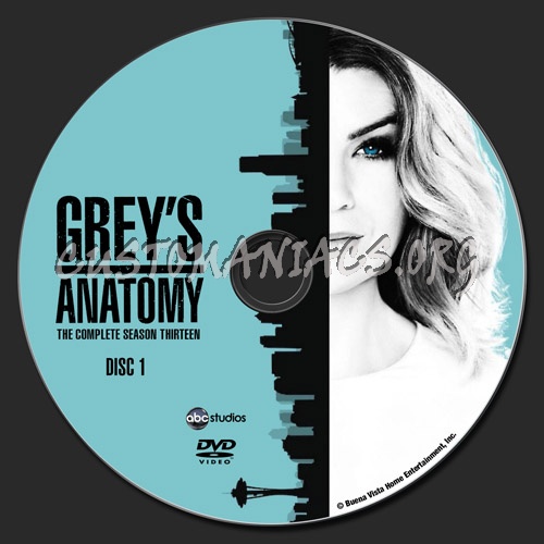 Watch greys anatomy free online season 13 new arrivals