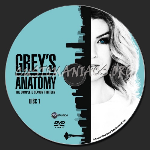 Grey's Anatomy - Season 13 dvd label