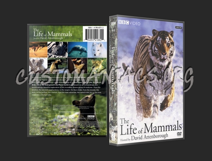 Life of Mammals dvd cover