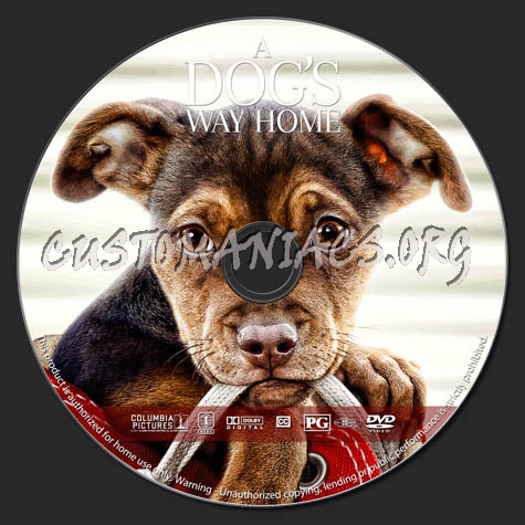 A Dogs Way Home dvd label